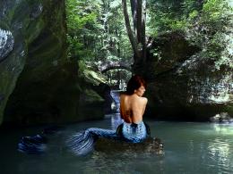 MermaidCove